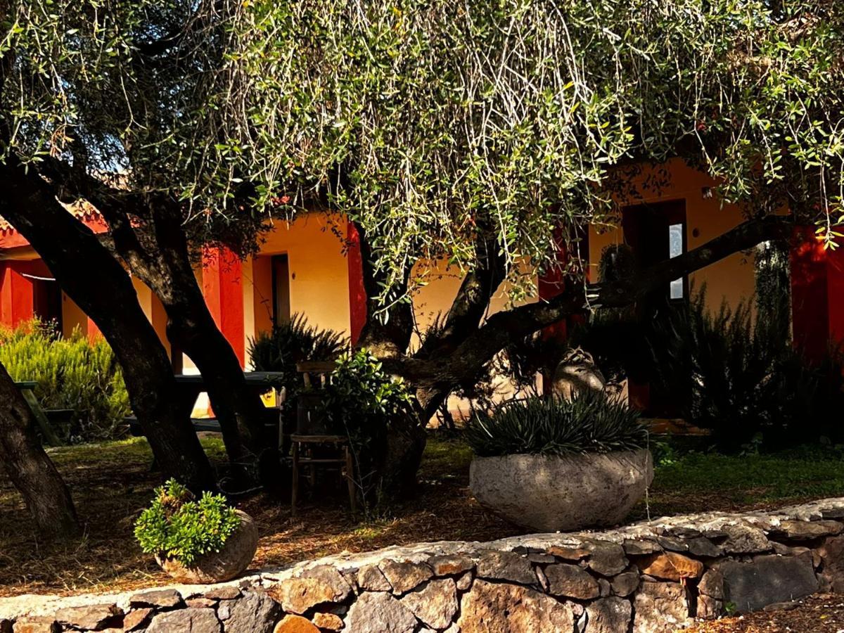 Agriturismo Conca' E Janas Dorgali Exterior photo