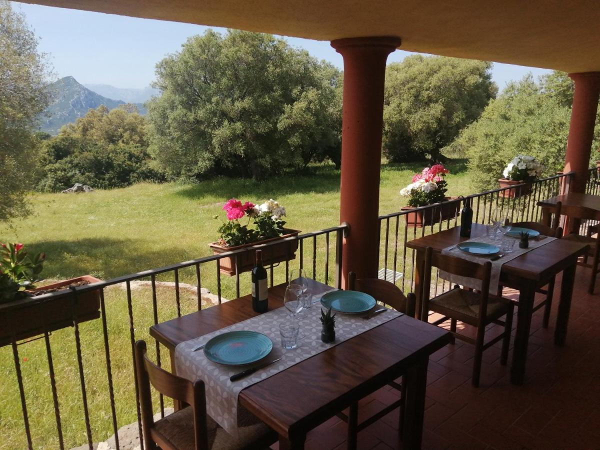 Agriturismo Conca' E Janas Dorgali Exterior photo